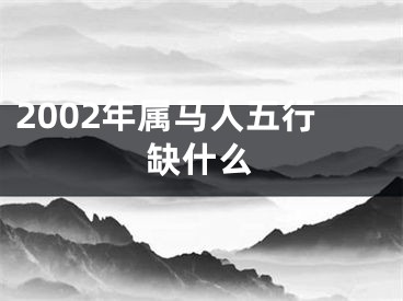 2002年属马人五行缺什么