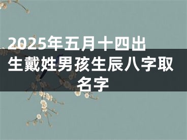 2025年五月十四出生戴姓男孩生辰八字取名字
