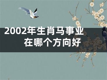 2002年生肖马事业在哪个方向好