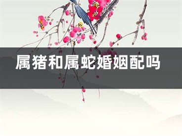 属猪和属蛇婚姻配吗