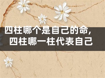 四柱哪个是自己的命,四柱哪一柱代表自己