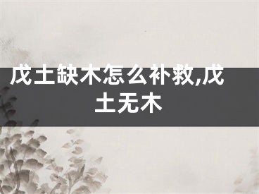 戊土缺木怎么补救,戊土无木