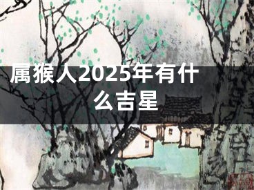 属猴人2025年有什么吉星