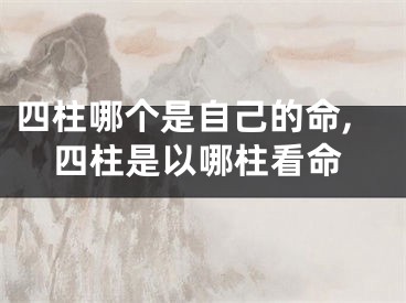 四柱哪个是自己的命,四柱是以哪柱看命