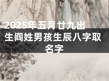 2025年五月廿九出生阎姓男孩生辰八字取名字