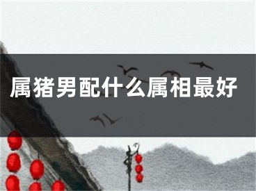 属猪男配什么属相最好