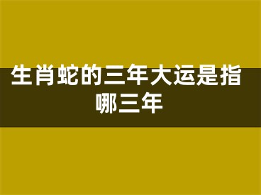 生肖蛇的三年大运是指哪三年