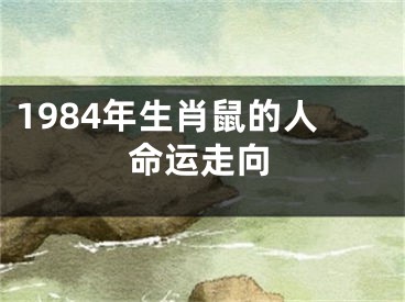 1984年生肖鼠的人命运走向