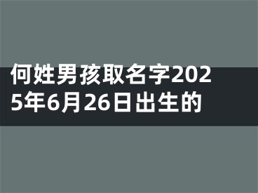 何姓男孩取名字2025年6月26日出生的