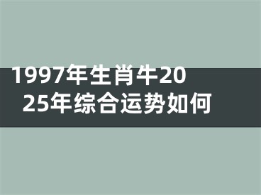 1997年生肖牛2025年综合运势如何
