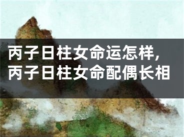 丙子日柱女命运怎样,丙子日柱女命配偶长相