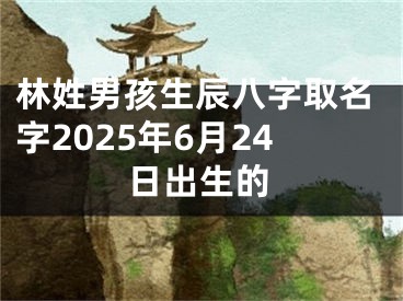 林姓男孩生辰八字取名字2025年6月24日出生的