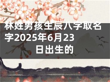 林姓男孩生辰八字取名字2025年6月23日出生的