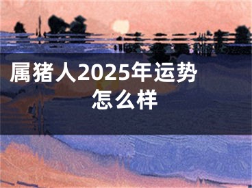 属猪人2025年运势怎么样