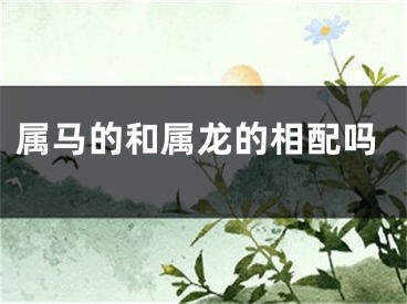 属马的和属龙的相配吗
