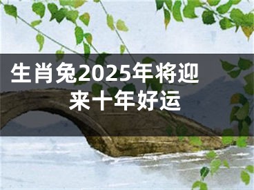 生肖兔2025年将迎来十年好运