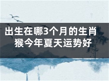 出生在哪3个月的生肖猴今年夏天运势好
