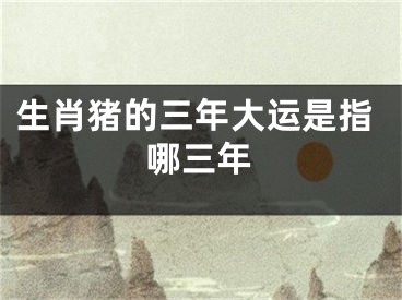 生肖猪的三年大运是指哪三年