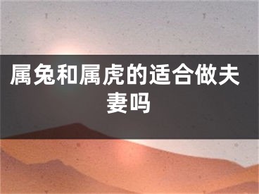 属兔和属虎的适合做夫妻吗