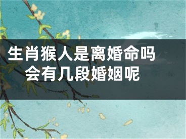 生肖猴人是离婚命吗 会有几段婚姻呢 