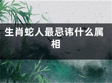 生肖蛇人最忌讳什么属相