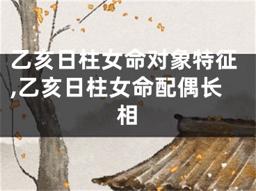 乙亥日柱女命对象特征,乙亥日柱女命配偶长相