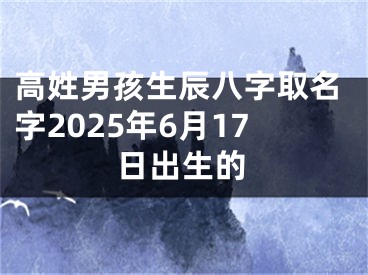 高姓男孩生辰八字取名字2025年6月17日出生的