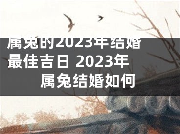 属兔的2023年结婚最佳吉日 2023年属兔结婚如何