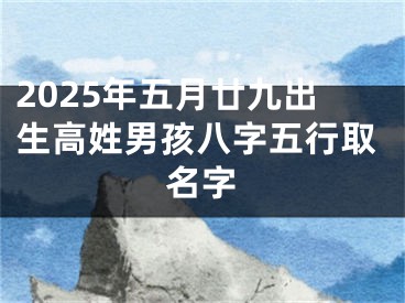 2025年五月廿九出生高姓男孩八字五行取名字