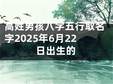 高姓男孩八字五行取名字2025年6月22日出生的