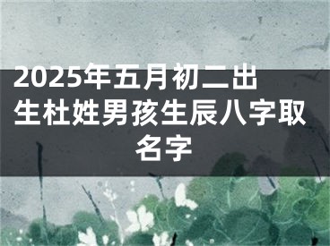 2025年五月初二出生杜姓男孩生辰八字取名字