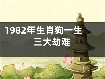 1982年生肖狗一生三大劫难