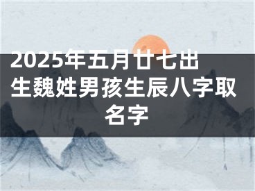 2025年五月廿七出生魏姓男孩生辰八字取名字