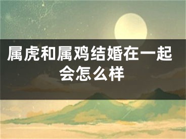 属虎和属鸡结婚在一起会怎么样