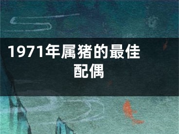 1971年属猪的最佳配偶