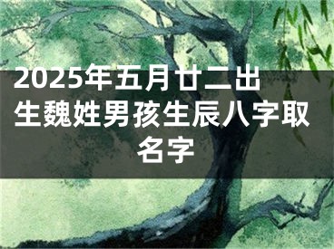 2025年五月廿二出生魏姓男孩生辰八字取名字