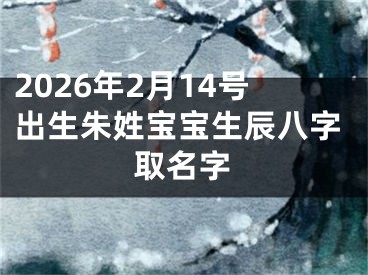 2026年2月14号出生朱姓宝宝生辰八字取名字