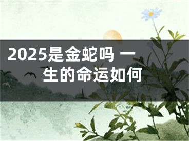 2025是金蛇吗 一生的命运如何