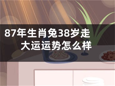 87年生肖兔38岁走大运运势怎么样