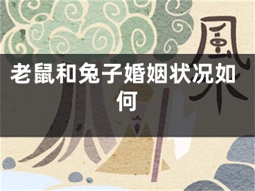 老鼠和兔子婚姻状况如何