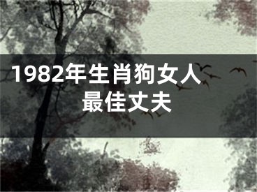 1982年生肖狗女人最佳丈夫