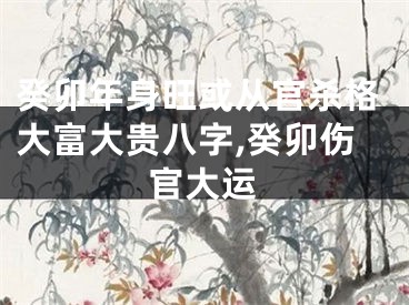 癸卯年身旺或从官杀格大富大贵八字,癸卯伤官大运