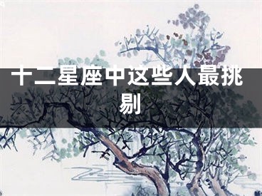 十二星座中这些人最挑剔