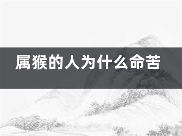 属猴的人为什么命苦