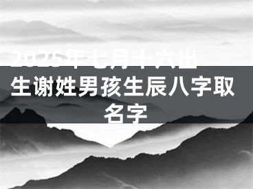 2025年七月十六出生谢姓男孩生辰八字取名字