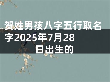 贺姓男孩八字五行取名字2025年7月28日出生的