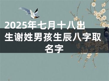 2025年七月十八出生谢姓男孩生辰八字取名字