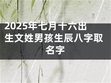2025年七月十六出生文姓男孩生辰八字取名字