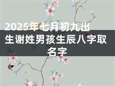 2025年七月初九出生谢姓男孩生辰八字取名字