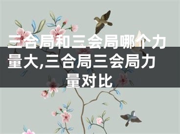 三合局和三会局哪个力量大,三合局三会局力量对比